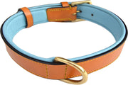 Medium Tan and Teal Padded Leather Dog Collar