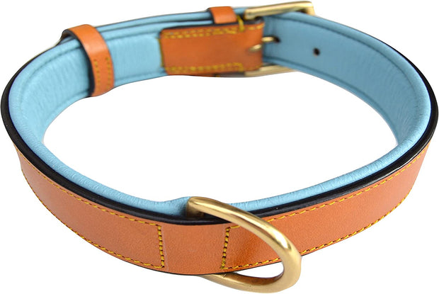 Medium Tan and Teal Padded Leather Dog Collar - Modiniva LLC