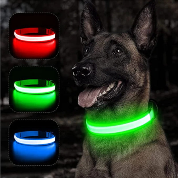 LED Glowing Dog Collar Adjustable Flashing Rechargea Luminous Collar Night Anti-Lost Dog Light HarnessFor Small Dog Pet Products - Modiniva LLC