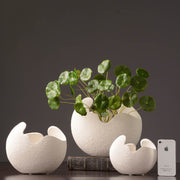 Simple white ceramic vase decoration - Modiniva LLC