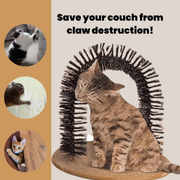 Cat Arch Scratcher - Modiniva LLC