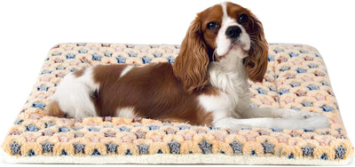 Ultra Soft Dog Crate Pad: Reversible Fleece, 23x18 Inch