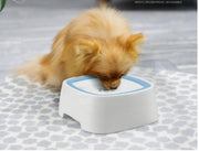 Anti Splash Pet Floating Feeding Bowl Home, Pets, Appliance