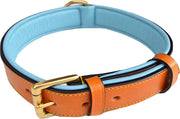 Medium Tan and Teal Padded Leather Dog Collar