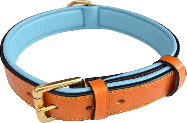 Medium Tan and Teal Padded Leather Dog Collar - Modiniva LLC