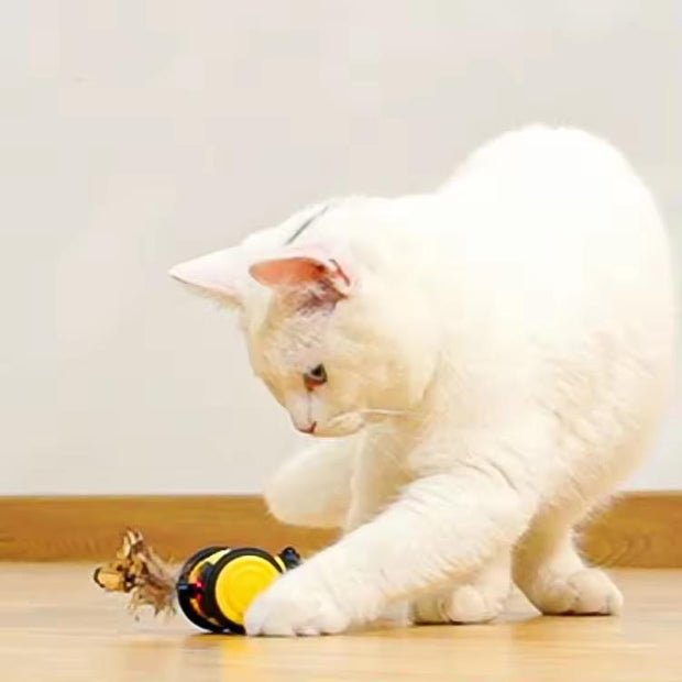 Electric Bee Cat Toy - Modiniva LLC