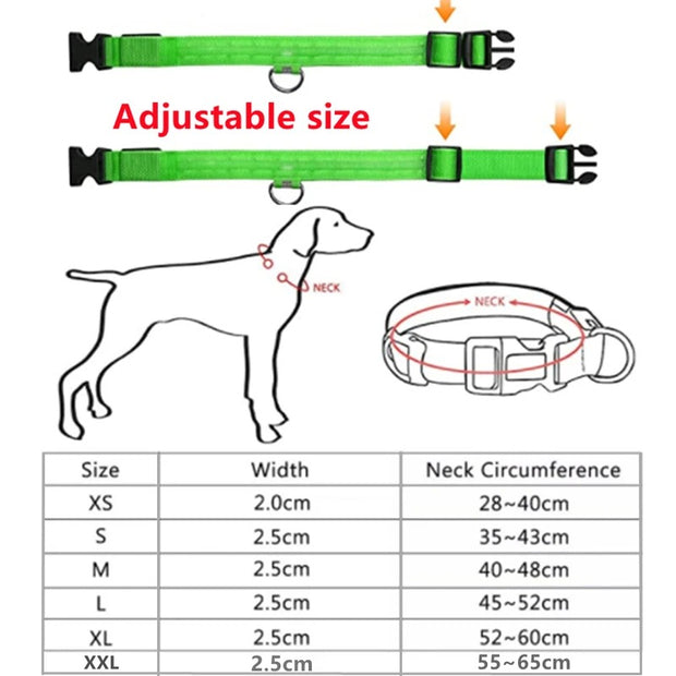 LED Glowing Dog Collar Adjustable Flashing Rechargea Luminous Collar Night Anti-Lost Dog Light HarnessFor Small Dog Pet Products - Modiniva LLC