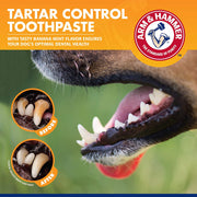 Tartar Control Kit for Dogs: Toothpaste & Brush Set Home, Pets, Appliance