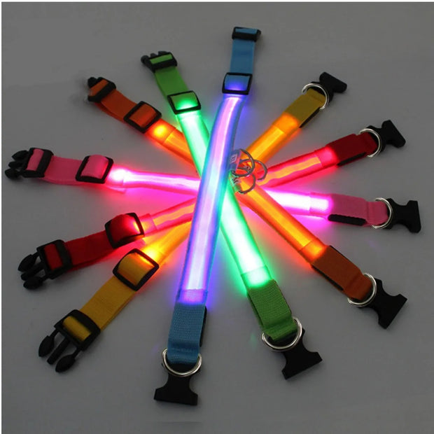 LED Glowing Dog Collar Adjustable Flashing Rechargea Luminous Collar Night Anti-Lost Dog Light HarnessFor Small Dog Pet Products - Modiniva LLC