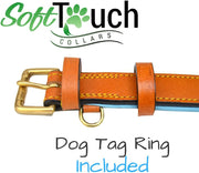 Medium Tan and Teal Padded Leather Dog Collar