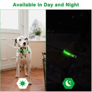 LED Glowing Dog Collar Adjustable Flashing Rechargea Luminous Collar Night Anti-Lost Dog Light HarnessFor Small Dog Pet Products - Modiniva LLC