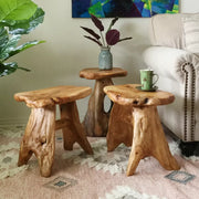 Rustic Elegance: The Gerrity End Table in Solid Wood