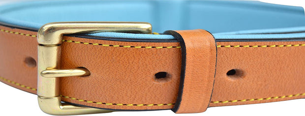 Medium Tan and Teal Padded Leather Dog Collar