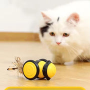 Electric Bee Cat Toy - Modiniva LLC